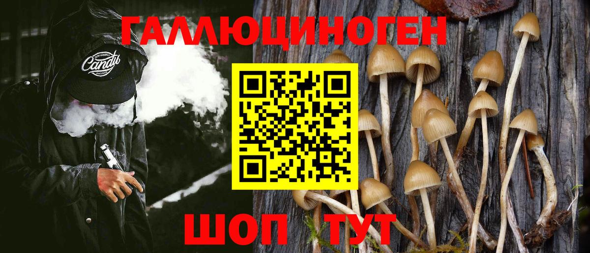 Галлюциногенные грибы Magic Shrooms Осинники