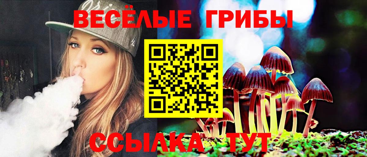 Галлюциногенные грибы Psilocybe  Галлюциногенные грибы ЛСД  Осинники  Вход с VPN 